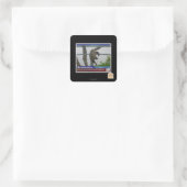 Schrootschildpad Vierkante Sticker (Tas)