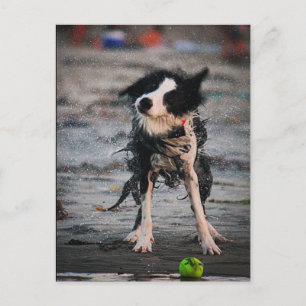 Schud het af! briefkaart