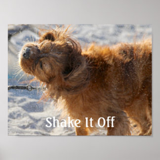 Schud het uit poster
