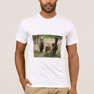 Schudbruine alpaca's in de dierentuin t-shirt
