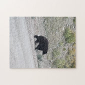 Schudden Beer Puzzel (Horizontaal)