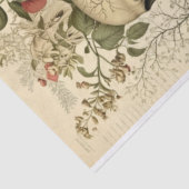 Schuif en bodem Victoriaans ontkoppeling Tissuepapier (Detail)