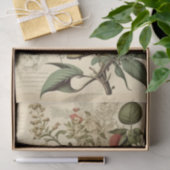 Schuif en bodem Victoriaans ontkoppeling Tissuepapier (Geschenk)