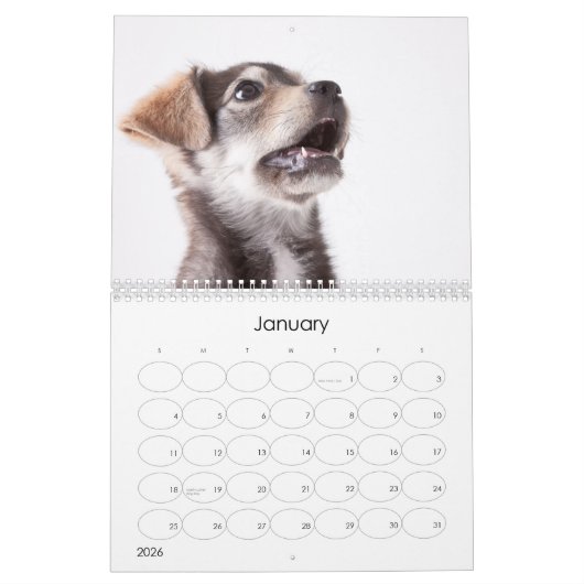 Schuif Puppies 2012 wandkalender Kalender (Jan 2026)