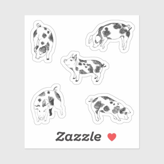 Schuif zwart-wit handgetrokken varken met koe vlek sticker (Vel)