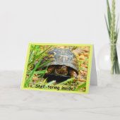 Schuilen in schildpad Kaart (Voorkant)