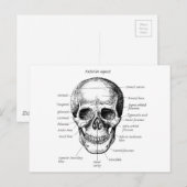 Schuilnisveld Briefkaart (Voorkant / Achterkant)