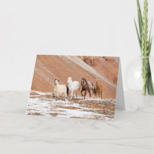 Schuilplaats Ranch met kleine kudde paarden in de Kaart