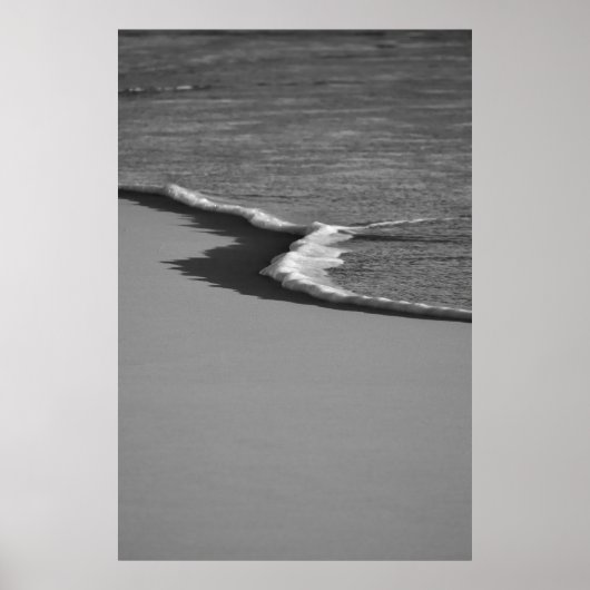 Schuimkus Poster (Voorkant)