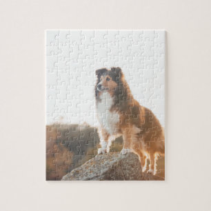 Schuine beschermlaag tegen licht tijdens zonsonder legpuzzel