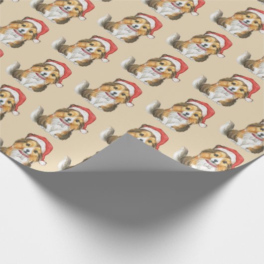 Schuine dop in het Pet van Santa's Cadeaupapier (Hoek)