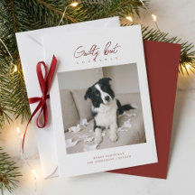 Schuldig Maar Schattig Grappige Hond Foto Kerstmis