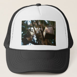 Schuldig! Trucker Pet