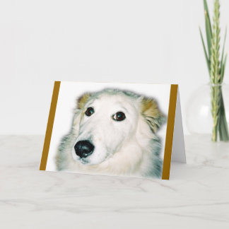 schuldige hond kaart