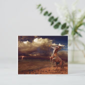 Schütze - Postkarte Briefkaart (Staand voorkant)