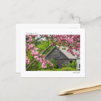 Schuur en bloesems Briefkaart