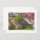 Schuur en bloesems Briefkaart (Voorkant / Achterkant)