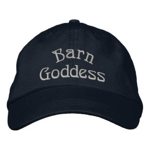 Schuur Godin Schattig Paard Pet