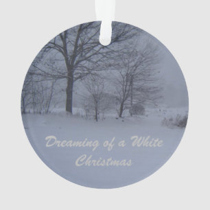Schuur in een Maine Blizzard Ornament
