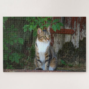 schuur kat puzzel