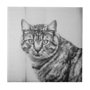 Schuur Kat Zwart en Wit Dieren Keramische Tegel Tegeltje