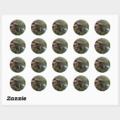 Schuur Ronde Sticker (Vel)
