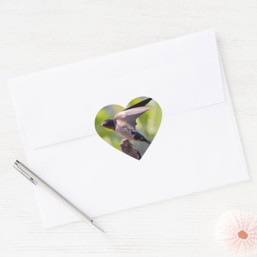 Schuur slikken Stickers (Envelop)