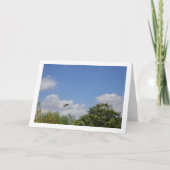 Schuur Swallow Landportret Kaart (Voorkant)