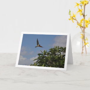 Schuur Swallow Portret Kaart