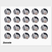 Schuur Uil en Bruin Beer Ronde Sticker (Vel)