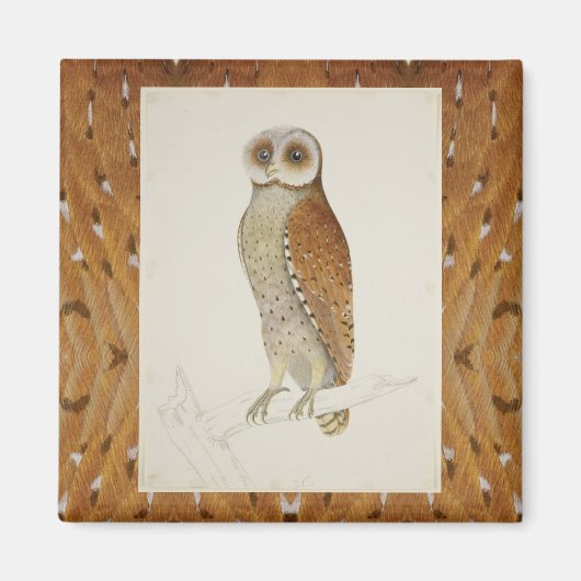 Schuur uil rustieke natuur illustratie verjaard magneet (Voorkant)