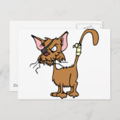 Schuurkat Briefkaart (Voorkant / Achterkant)