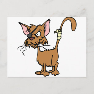 Schuurkat Briefkaart