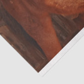 schuurpapier voor paarden tissuepapier (Detail)