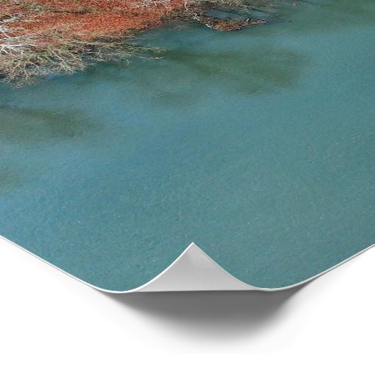 Schuylkill River Herfst Trees Print (Hoek)