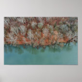 Schuylkill River Herfst Trees Print (Voorkant)