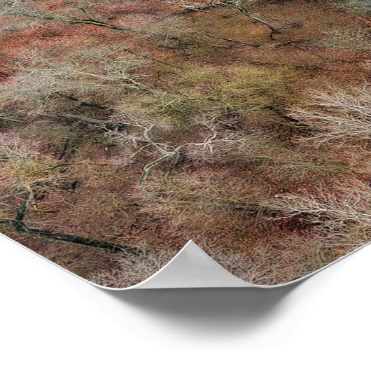 Schuylkill River Trail Herfst Poster (Hoek)