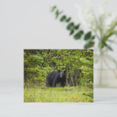 Schwarzbär im Wald Briefkaart (Staand voorkant)