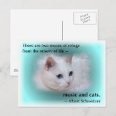 Schweitzer's kat briefkaart (Voorkant / Achterkant)