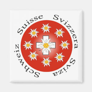 Schweiz Suisse Svizzera Svizra Zwitserland Magnet Magneet