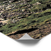 Schynige Platte Poster (Hoek)
