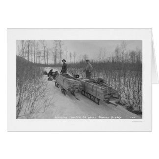 Sciage de chien de bois, Alaska 1917