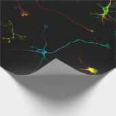 science cadeaupapier (Hoek)