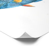 Scientific Fish Studies Poster (Hoek)