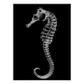 Scientific Seahorse Skeleton Poster (Devant)