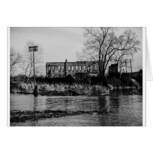 scierie à cônes
