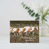 Scimitar Horned Oryx Briefkaart (Staand voorkant)