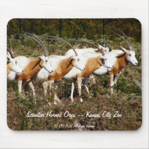 Scimitar Horned Oryx mousepad Muismat