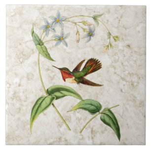 Scintillant Hummingbird Ceramic Tile Tegeltje
