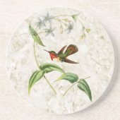 Scintillant Hummingbird Sandstone Onderzetter (Voorkant)